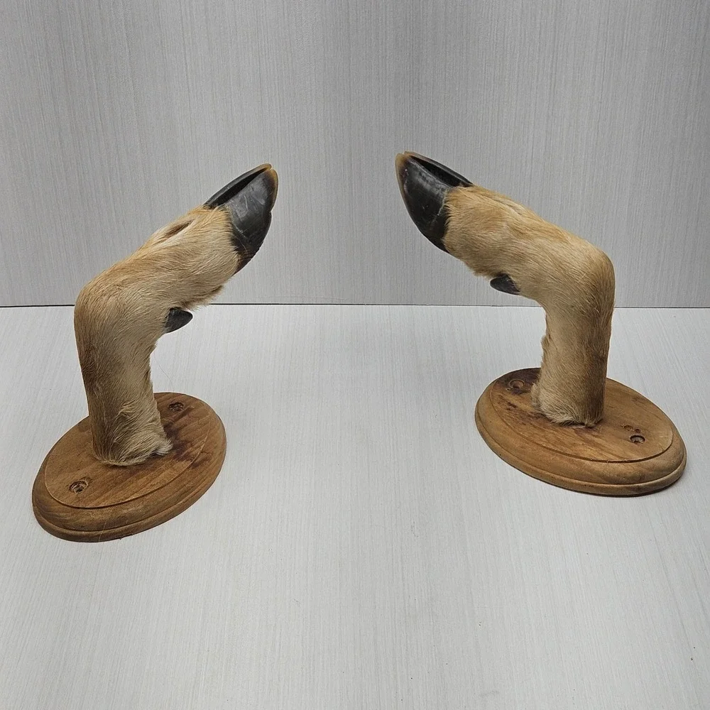 Vintage Taxidermy Deer Hoof Gun Rack Hat Hooks Pair Rustic Lodge Wall Mount